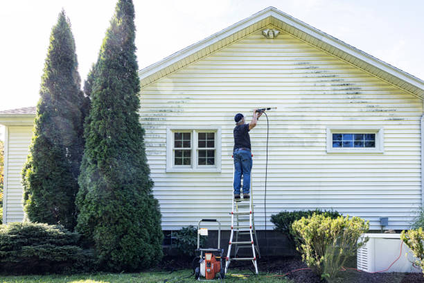 Professional Pressure Washing Services in El Jebel, CO